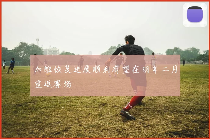 加维恢复进展顺利有望在明年二月重返赛场