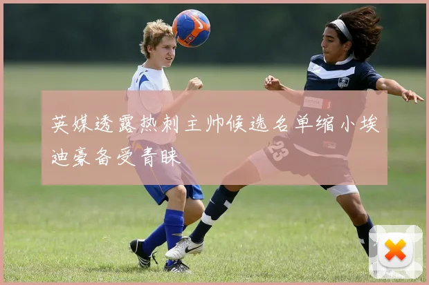 英媒透露热刺主帅候选名单缩小埃迪豪备受青睐