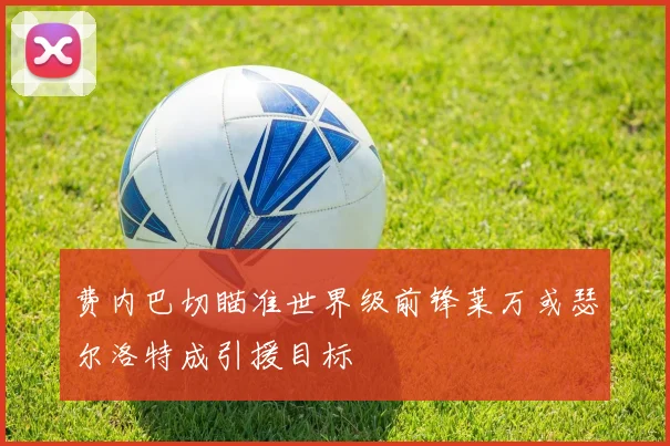 费内巴切瞄准世界级前锋莱万或瑟尔洛特成引援目标