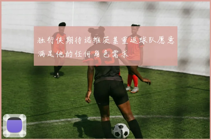 独行侠期待诺维茨基重返球队愿意满足他的任何角色需求