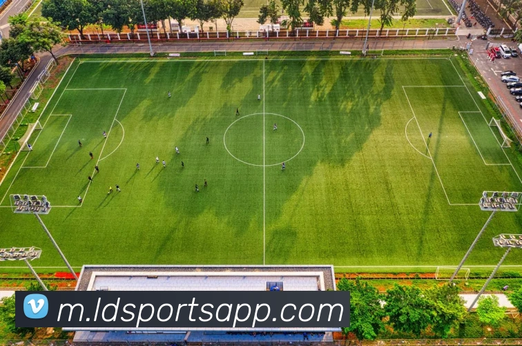 App Interface Preview