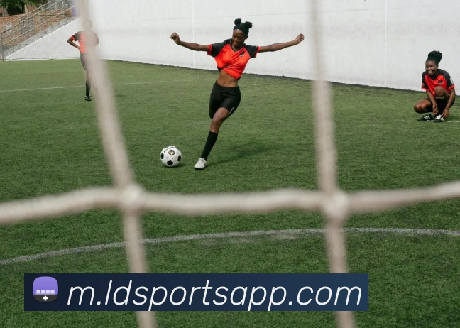 乐动体育APP 封面图