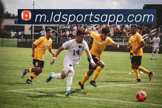 数据防护可视化