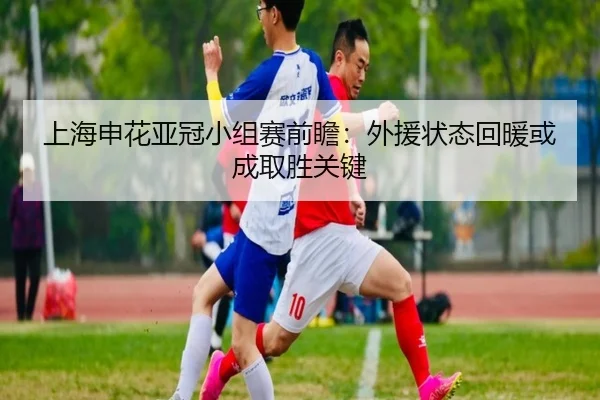 上海申花亚冠小组赛前瞻:外援状态回暖或成取胜关键 - LDSPORTS