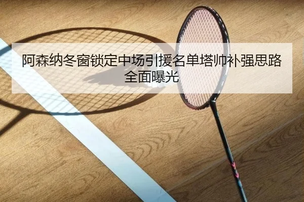 阿森纳冬窗锁定中场引援名单塔帅补强思路全面曝光 - LDSPORTS